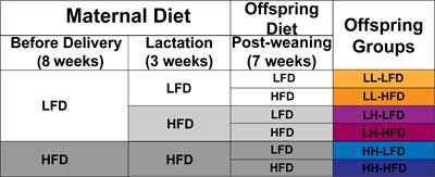 Pre-Weaning Exposure to Maternal High-Fat Diet Is a Critical Developmental Window for Programming the Metabolic System of Offspring in Mice
